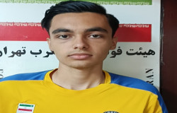 پارسا قاسم خانی