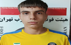 محمد مهدی کرمی قوریچای