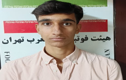 محمدحسین پهلوانی