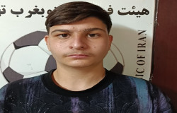 سیدمحمد امین قائم مقامی