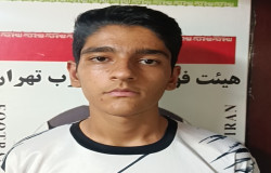 آریا ثنائی