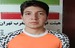 پارسا زارعی