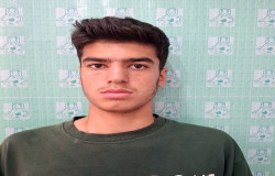 امیرحسین بیکدلی