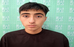 شایان احمدی نیا
