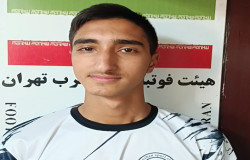 محمد مهدی هاشمی