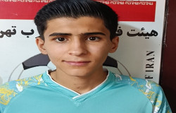 محمدرضا محبی آرام