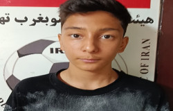 محمدپارسا محمودی