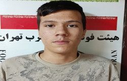 امیررضا حاجی زاده