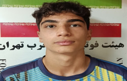 حامد بیگ محمدی