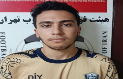 پارسا فتاحی نیا