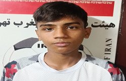 ابولفظل محمودی