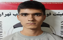 امیر مهدی شهبازی