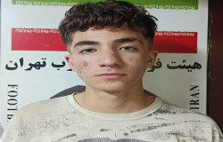 محمد شروین شریفی