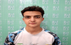 هادی عابدی