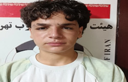 امیر محمد کیان نظر