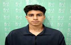 محمد امین محمودی