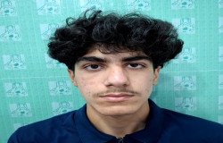 ارشیا کرمی