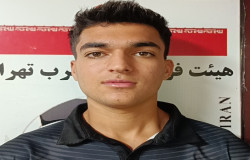 سید امین نظری