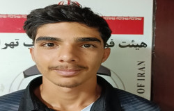 مبین مدانلو