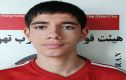 امیر محمد جعفری شاهد