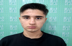 پارسا غریبی