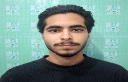 ارین تمینت