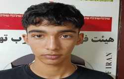 محمدپارسا آقچه لو