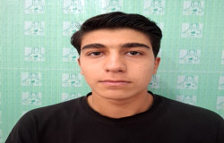 پارسا نوابی