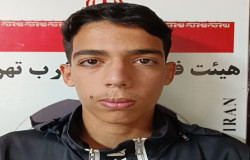 محمدمهدی مجیدی