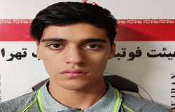سید مهیار واقفی