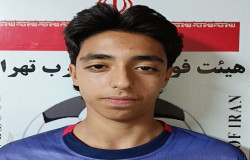 سید آروین برهانی