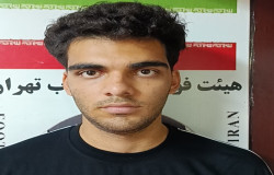 محمدپارسا اعلمی