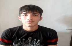 محمد قاسمی